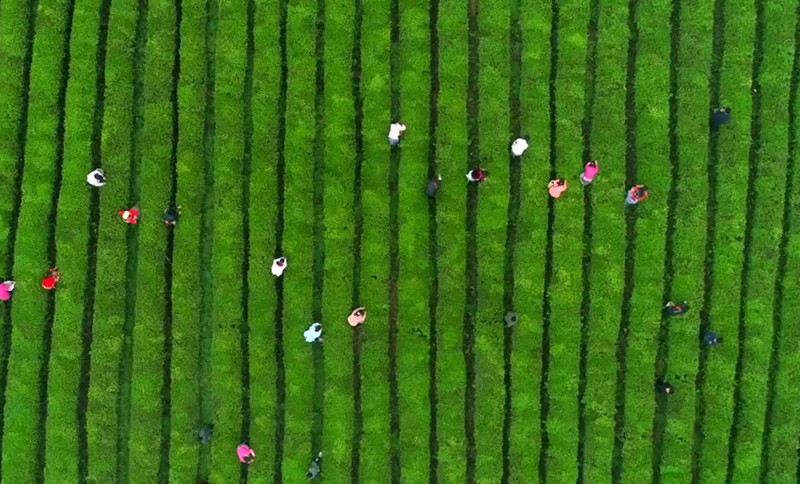 1749173012167656.jpg 1745307464331812.jpg